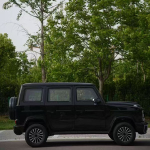 <span class=keywords><strong>Furgone</strong></span> Elettrico a Cinque Posti con Motore da 3500W, Nuova Energia, Bassa Velocità, Trazione Integrale, Batteria al Litio e Cambio - Product Image 3