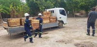 Ruche en bois écologique stable à double étage, biomimétique, pour la gestion d'apiculture à grande échelle