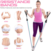Bandas de Ejercicio Ajustables de TPE para Gimnasio, Bandas de Resistencia Elásticas de Alta Resistencia para Entrenamiento Físico, Juego de 11 Tubos