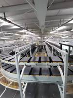 Clasificador de Banda Transversal Truelisort de Velocidad Ajustable OEM con Motor Lineal, Sistema de Clasificación de Diseño Modular para Centros de Distribución Minorista