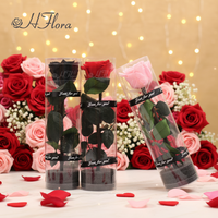 Bouquet de roses éternelles personnalisées pour festival, fleurs préservées, branches de roses immortelles, roses éternelles, boîte cadeau, bouquet de fleurs rose, 50 pièces