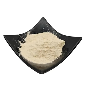 Konsantre Soya Proteini İzole Soya Proteini %70 Toz Et Sosisi için CSP - Product Image 3