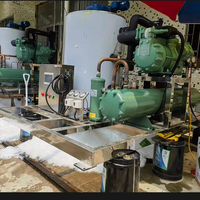 Machine à glaçons en flocons d'eau douce de 5 tonnes pour fruits de mer congelés