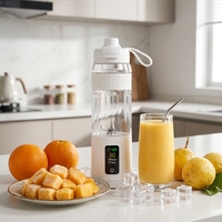 Ice Breaker Draagbare Fruit Persoonlijke Reisblender Sterke kracht Oplaadbare mixer voor sap-smoothies overal en altijd