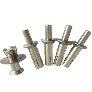 Rivets de fixation tout <span class=keywords><strong>aluminium</strong></span> M5 M6.4, goupilles d'expansion à percussion, rivets aveugles à tête ronde et plate à simple face pour fixation de tôles - Product Image 3