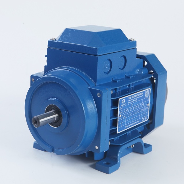 Three-phase 380V Horizontal Asynchronous AC Motor 1400RPM Copper Coil IP55 1 kW IE3 Efficiency Flange Mount Waterproof
