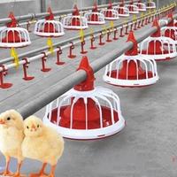 Meilleur prix ligne d'alimentation automatique pour poulets de chair de ferme avicole casserole d'alimentation et d'abreuvement pour poulets avec ventilateurs à flux axial