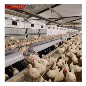 Trang trại gia cầm làm tổ hộp thu gom gà mái poultri Coop trứng gà đẻ trứng tự động chăn nuôi tổ hộp rollaway