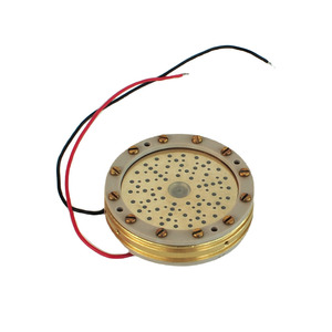 Capsule de microphone grand diaphragme de 34 mm avec plaques arrière isolées en or pour remplacer la capsule K47 - Product Image 4