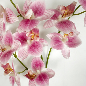 Fausses fleurs artificielles Phalaenopsis Ornements d'intérieur à la maison Mariage Décoration de Pâques Arrangement de fleurs <span class=keywords><strong>en</strong></span> <span class=keywords><strong>pot</strong></span> <span class=keywords><strong>en</strong></span> plastique - Product Image 4