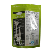 Pochette Doypack en fer blanc avec fermeture zip, impression numérique par gravure, 500g, 16 onces, 1 livre, pour noix et raisins verts, finition brillante