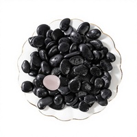 Galets de pierre naturelle noirs brillants, polis et lavés à l'eau, pierres décoratives pour aquascaping moderne, jardinières et jardins