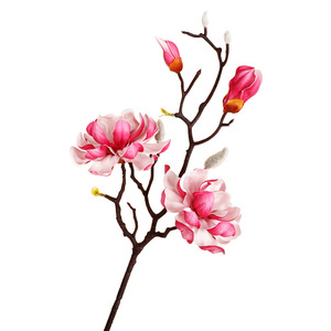 Fleurs artificielles de magnolia, branche unique, haute simulation, décorations intérieures pour mariage, en mousse et fil métallique - Product Image 4