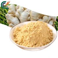 Extrait de racine de gingembre en poudre 5% Gingérol, soluble dans l'eau, qualité alimentaire, base naturelle pour boissons fonctionnelles et usage nutraceutique