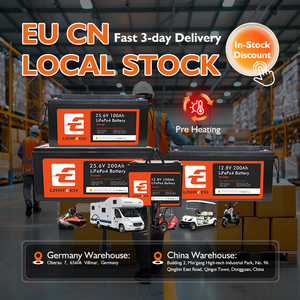 Pin Lithium năng lượng mặt trời 12V 24V 100Ah 200Ah chu kỳ sâu, pin Lithium sắt LifePo4 của Ba Lan, EU, dùng cho xe golf, thiết bị gia dụng - Product Image 3