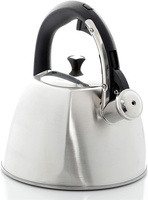 Bouilloire à thé moderne en acier inoxydable argenté de 2,5 litres à 6 côtés, avec poignée en alliage de zinc, revêtement coloré durable, compatible induction et cuisinière