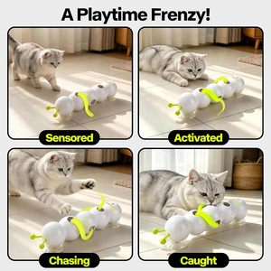 <span class=keywords><strong>Jouet</strong></span> interactif pour <span class=keywords><strong>chat</strong></span> AFP Caterpillar avec ventouse puissante, activé par le mouvement, jeu de tape-taupe avec plumes pour l'enrichissement du <span class=keywords><strong>chat</strong></span> - Product Image 3