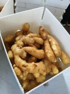 <span class=keywords><strong>Légumes</strong></span> <span class=keywords><strong>frais</strong></span> de Chine Gingembre sec prix de gros par kg - Product Image 4