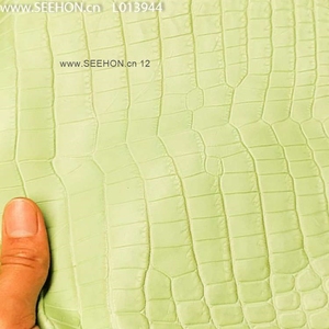 ผลิตภัณฑ์หนังจระเข้อเนกประสงค์ - Product Image 4