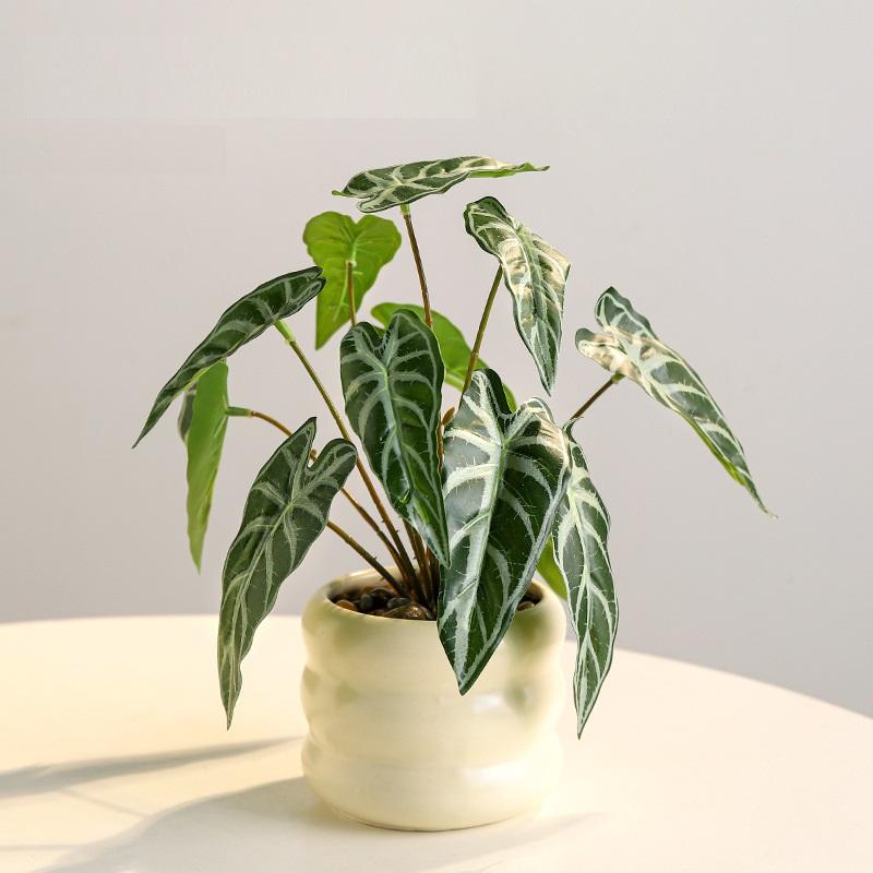 #5 green (guanyin lotus leaf)