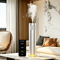 Diffuseur d'arômes en acier inoxydable 120 ml, alliage d'aluminium mat, diffuseur d'arômes sans eau, nébuliseur de parfum, commercial OEM