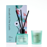 Coffret Cadeau M&Sense : Bougie Parfumée Artisanale de Luxe en Pot de Verre et Mini Diffuseur à Bâtonnets