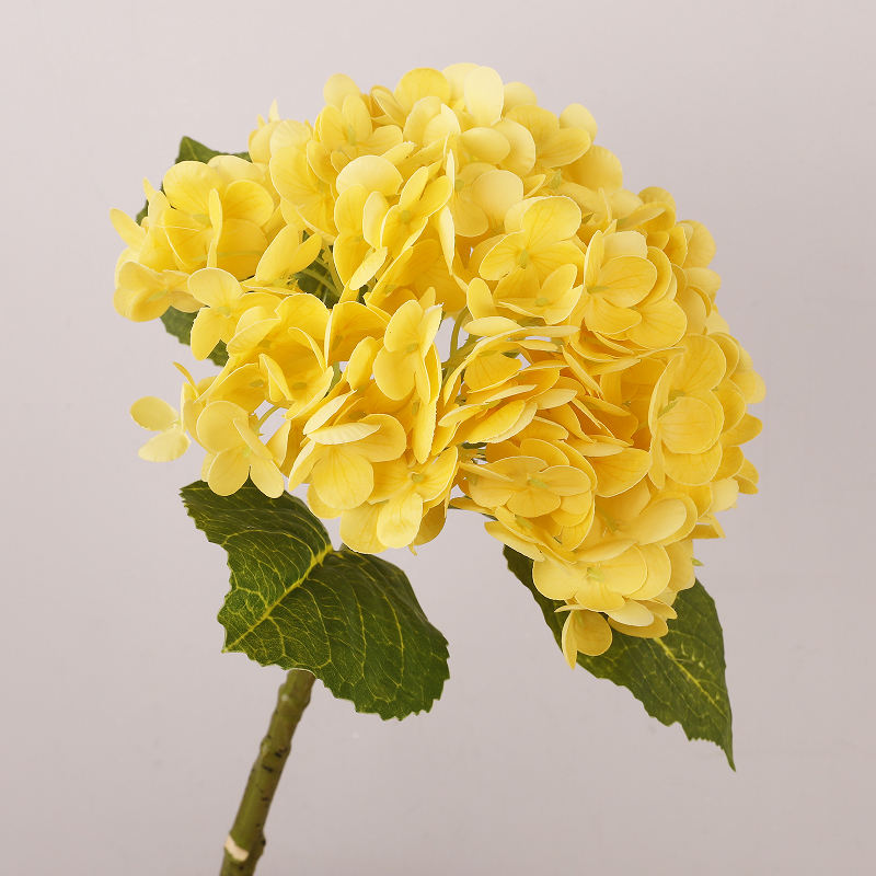 สีเหลือง