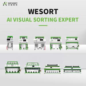 Wesort Ccd Coco Bonen Sorter Machine Voor Cacao Verwerking Apparatuur Produceren Lijn - Product Image 4