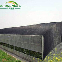 Serre agricole ZN Zhongnong à structure en acier, grande serre en film PE à simple travée, pour culture toute l'année en température contrôlée