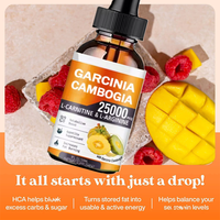 Extrait liquide de graines de Garcinia Cambogia en gros – Complément amincissant pour ventre plat, brûle-graisse, gouttes organiques de Garcinia Cambogia