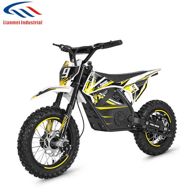 36 V 500 W elektrisches Gelände-Motorrad Kinder-Elektro-Dirtbike