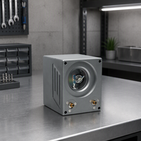 Scanner galvanométrique de marquage laser Sino-Galvo 10 mm avec pointeur lumineux rouge à focalisation