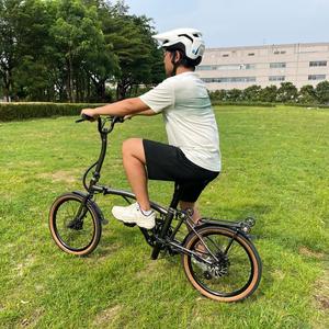 铬钼钢轻质高品质 Pamila Q1 36V 7Ah 250W 80km 25km/h 液压刹车 20 英寸迷你三折电动折叠自行车 - Product Image 4