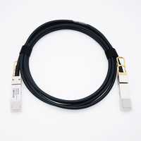 10G 25G 40G 100G 200G 400G 800G SFP+ SFP28 QSFP+ QSFP28 QSFP56 QSFP-DD OSFP Kabel Pasif Direct Attach Tembaga Twinax DAC