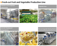 Leadworld Aanpasbare Reinigingsmachine Fruit En Groenten Blancheren Reiniging Snijden Snel Bevroren Machine Verwerkingslijn