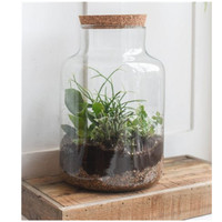 Pot de terrarium en verre transparent de bonne qualité avec couvercle en liège LED pour plante aquatique à poisson à la maison