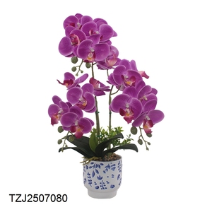 Tizen fleurs Phalaenopsis pluie pierre bonsaï 3D imprimé <span class=keywords><strong>Pot</strong></span> <span class=keywords><strong>de</strong></span> <span class=keywords><strong>fleur</strong></span> <span class=keywords><strong>artificielle</strong></span> pour bureau bureau décoration orchidée - Product Image 2