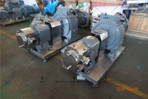 Bomba de Lóbulos Rotatorios de Acero Inoxidable de Grado Alimenticio para Transferencia de Líquidos de Alta Viscosidad - Product Image 6