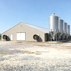 Poulailler en acier préfabriqué, installation facile pour les petites et moyennes exploitations agricoles - Product Image 4