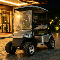 Mobil Wisata Listrik 2 Kursi Grosir dengan Warna Kustom untuk Taman Kebun Binatang, Mobil Wisata Listrik 2 Kursi