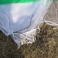 Sac en filet PE à prix compétitif avec cordon de serrage pour l'exportation de dattes