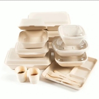 Boîtes à emporter biodégradables et compostables en bagasse de canne à sucre pour restaurant et pique-nique