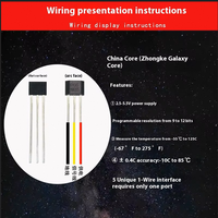 Sonde de température professionnelle chinoise DS18B20 spécifications multiples sonde de température de nez de pression froide soignée étanche