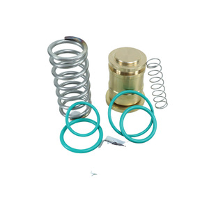 Kit de Válvula de Presión Berg 223044167P, Repuestos Compatibles, Gama Completa para Compresor de Aire de Tornillo, 1 Año de Garantía, en Stock - Product Image 2