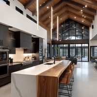 Superbe armoire de cuisine aux designs modernes Barndominium Finition élégante personnalisée