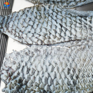 Máquina desescamadora de pescado FENGXIANG FGB-400 semiautomática 30-50 piezas/min de acero inoxidable para uso comercial - Product Image 4