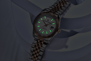 Nuovo <span class=keywords><strong>Orologio</strong></span> da Uomo PAGANI DESIGN DD36 2026, <span class=keywords><strong>Orologio</strong></span> <span class=keywords><strong>Automatico</strong></span> di Lusso in <span class=keywords><strong>Oro</strong></span> Rosa, <span class=keywords><strong>Orologio</strong></span> da Polso Meccanico con Quadrante in Ceramica e Vetro Zaffiro AR - Product Image 5