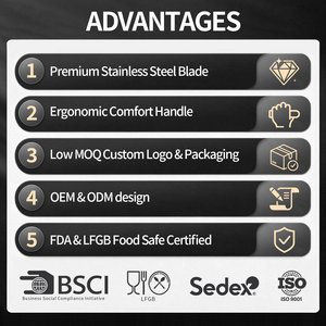 Set <span class=keywords><strong>di</strong></span> 14 <span class=keywords><strong>Coltelli</strong></span> da Cucina con Blocco in Legno, Set Professionale <span class=keywords><strong>di</strong></span> <span class=keywords><strong>Coltelli</strong></span> da Chef in Acciaio Inossidabile - Product Image 6