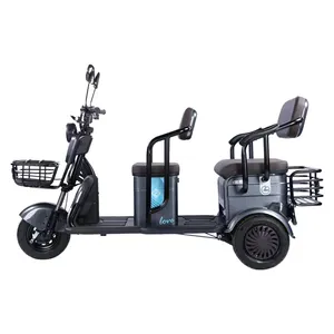Véhicule électrique à mobilité Y3-XK Tricycle électrique Scooter électrique à 3 roues 48V Eec Elektrikli Motor Bisiklet 3 Tekerlekli Open