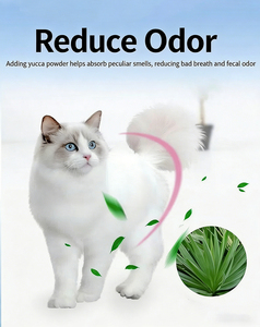 Aliment sec pour <span class=keywords><strong>chat</strong></span> OEM ODM, saveur poulet et bœuf, formule double viande, riche en protéines, sans céréales, pour chatons et chats adultes de toutes les générations - Product Image 3